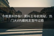 今晚黑料炸裂！黑料王导航揭秘，热门大V内幕网友直呼过瘾