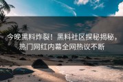 今晚黑料炸裂！黑料社区探秘揭秘，热门网红内幕全网热议不断