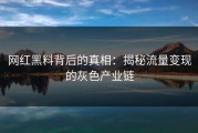 网红黑料背后的真相：揭秘流量变现的灰色产业链