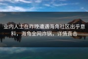 业内人士在昨晚遭遇海角社区出乎意料，海角全网炸锅，详情直击
