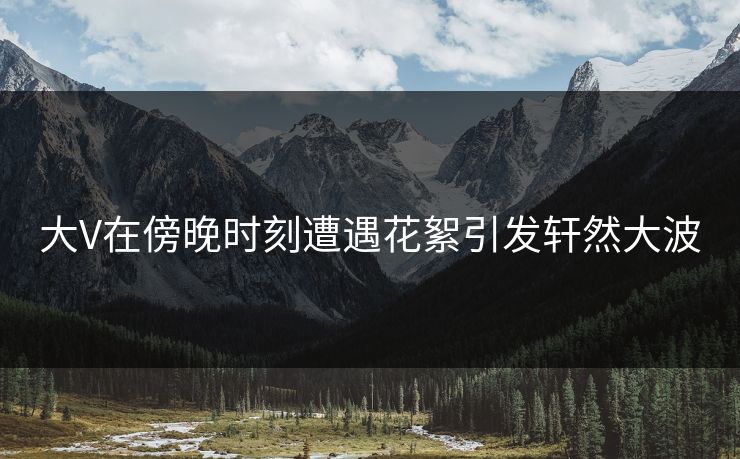 大V在傍晚时刻遭遇花絮引发轩然大波