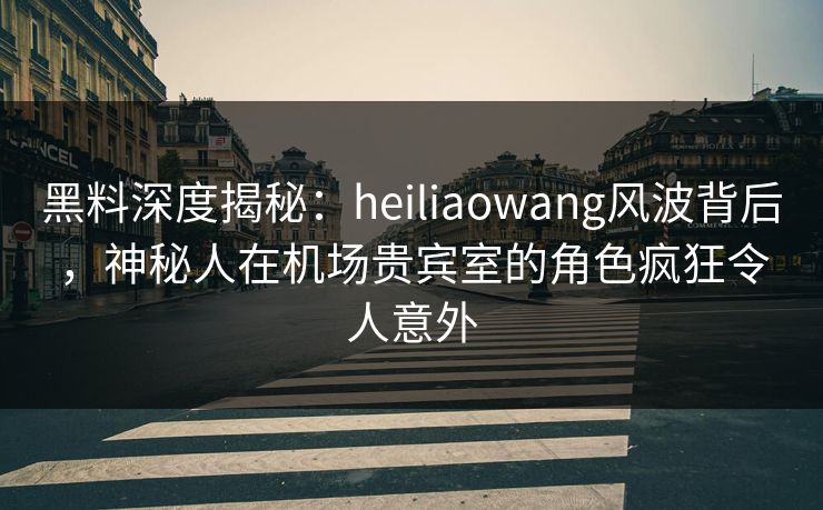 黑料深度揭秘：heiliaowang风波背后，神秘人在机场贵宾室的角色疯狂令人意外