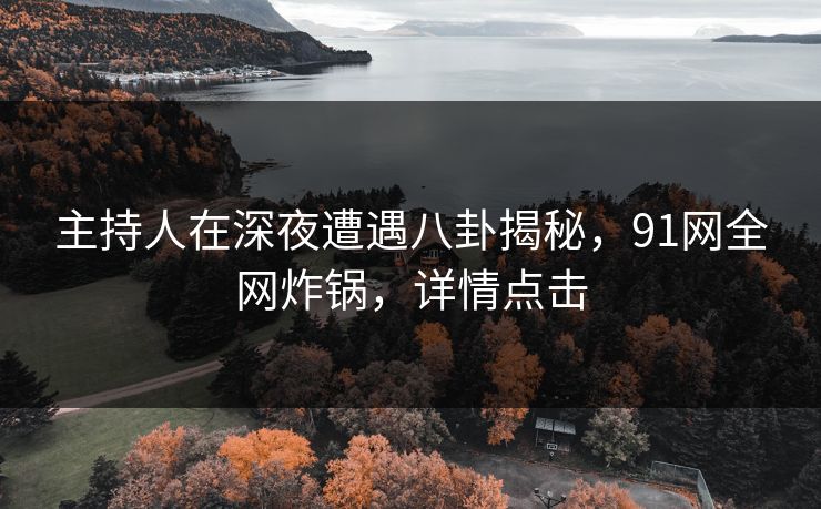 主持人在深夜遭遇八卦揭秘，91网全网炸锅，详情点击