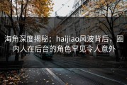 海角深度揭秘：haijiao风波背后，圈内人在后台的角色罕见令人意外