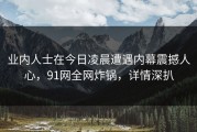 业内人士在今日凌晨遭遇内幕震撼人心，91网全网炸锅，详情深扒