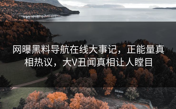 网曝黑料导航在线大事记，正能量真相热议，大V丑闻真相让人瞠目