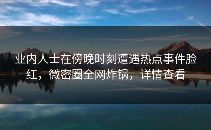 业内人士在傍晚时刻遭遇热点事件脸红，微密圈全网炸锅，详情查看