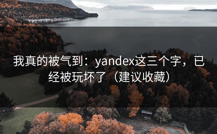 我真的被气到：yandex这三个字，已经被玩坏了（建议收藏）